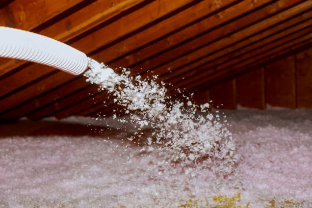 Best Fiberglass Insulation  in Fairmont, WV