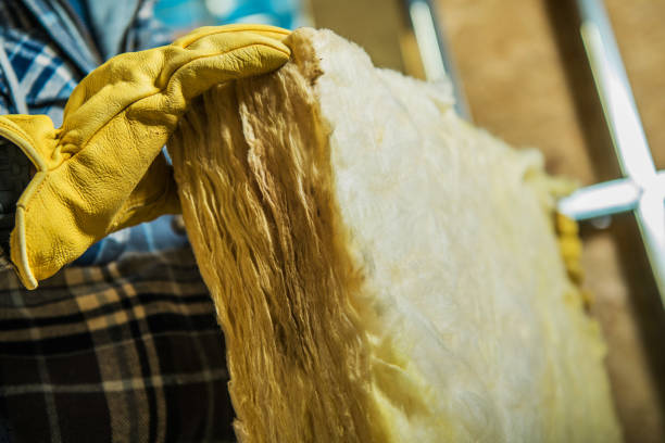 Best Insulation Removal  in Fairmont, WV