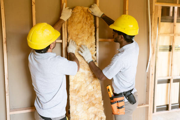 Best Insulation Replacement Services  in Fairmont, WV