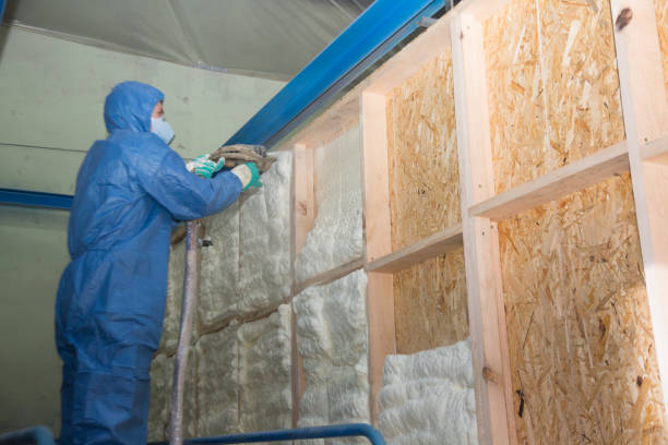 Best Insulation Inspection Services  in Fairmont, WV